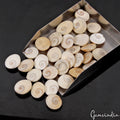 30 Pcs 760 Ct Untreated Natural Gomti Chakra Shiva Eye Shell Cab Loose Gemstones
