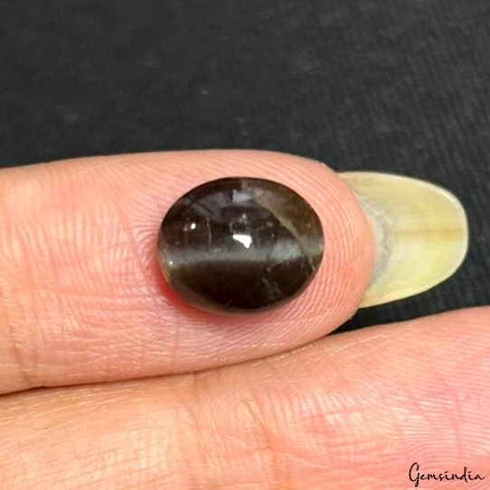 Certified Natural Untreated Spectrolite Cats Eye Mix Cab Loose Gemstones 4.30 Ct