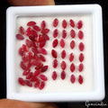 9.40Ct Natural Red Ruby Marquise 4x2mm Loose Gemstones for making Jewelry~60 Pcs