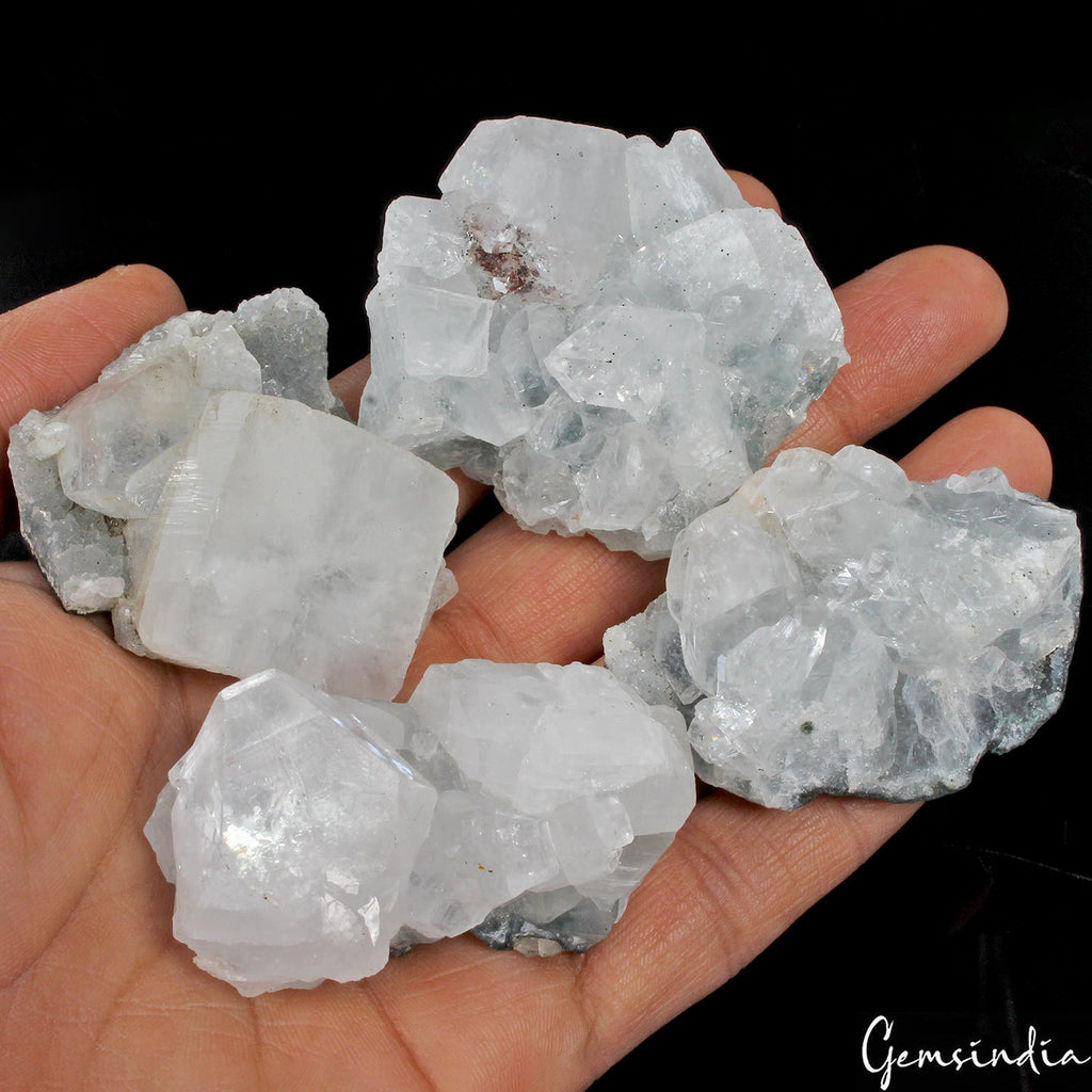 1130 Cts/4 Pcs Natural White Apophyllite Druzy Healing Crystal Mineral Raw Gems