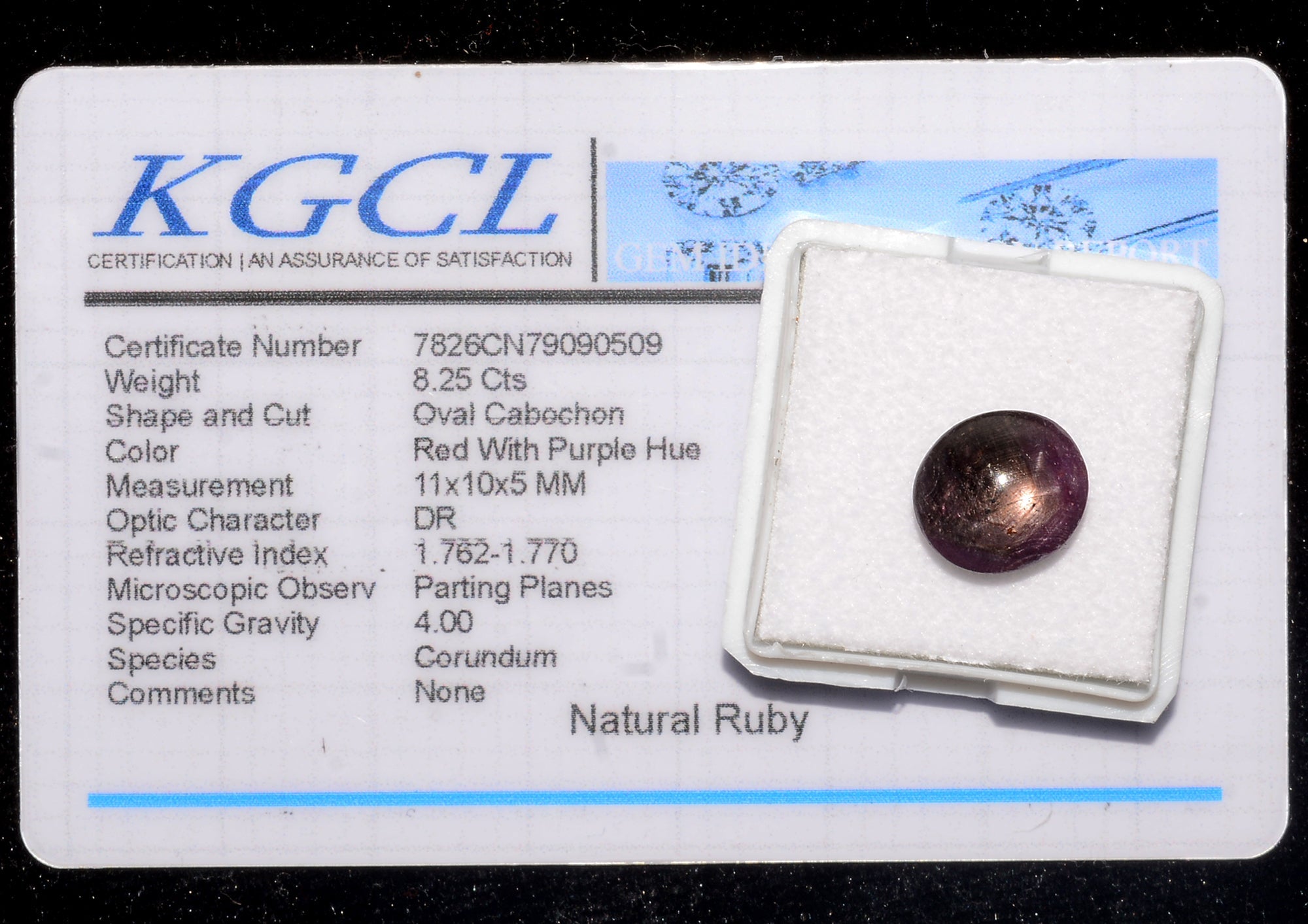 Certified 8.25 Ct Natural Unheated Natural Red Star Ruby Oval Cab Loose Rare Gem