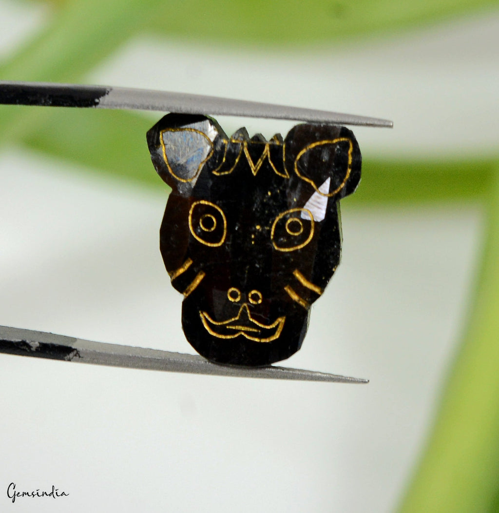 13.00cts Rare Tiger Face Cut Carving Jet Black Natural Earth Mined Loose Diamond