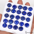 Lapis Lazuli Lot, Cabochon, Blue — 24 Pieces, 12mm, 203.30 Ct
