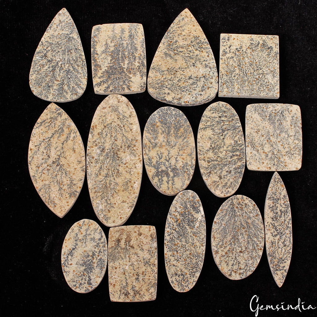 630 Cts/14 Pcs Natural Psilomelane Dendrite Fossil Tree Agate Mix Cut Loose Gems