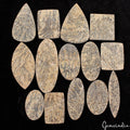 630 Cts/14 Pcs Natural Psilomelane Dendrite Fossil Tree Agate Mix Cut Loose Gems