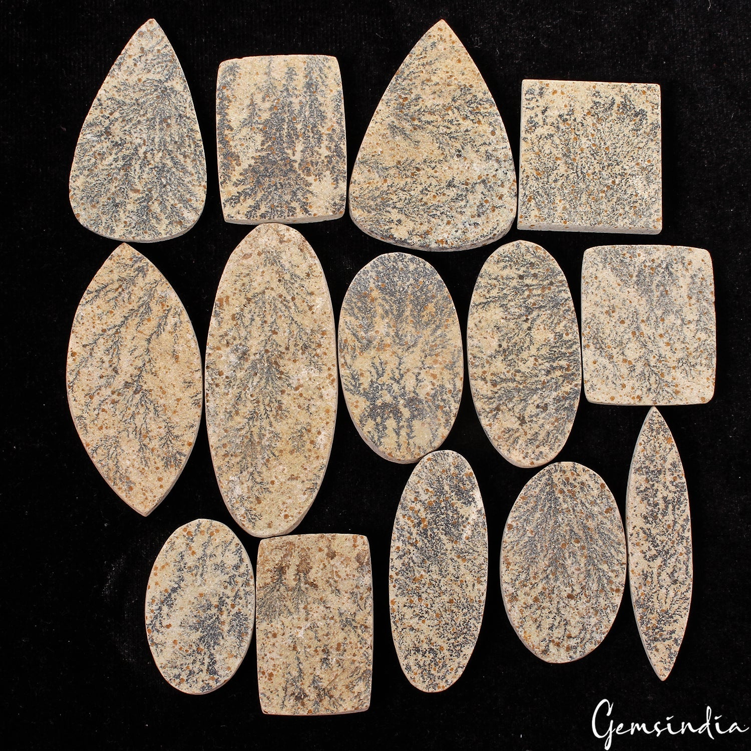 630 Cts/14 Pcs Natural Psilomelane Dendrite Fossil Tree Agate Mix Cut Loose Gems
