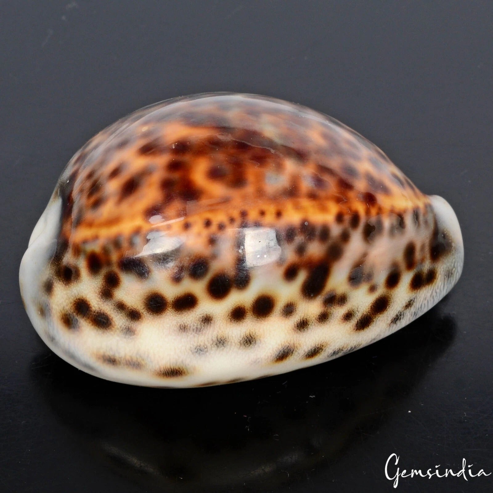 Gemstone Loose Gemstone — 73x52x40mm, 380 Ct