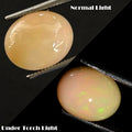 4.00 Ct Hardy STRONG! Natural Huge Yellow &Rainbow Color Sparkling Opal Ethiopia
