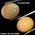 Opal Loose Gemstone, Oval Cabochon, Untreated — 17x15x9mm, 10.20 Ct, Ethiopia