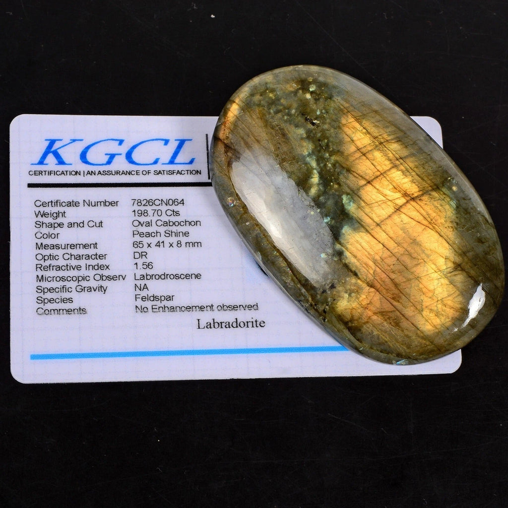 Certified 198.70Ct Natural Untreated Golden Color Shine Labradorite Oval Cab Gem