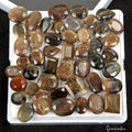 46 Pcs Natural Golden Brown Sapphire Untreated Mix Cut Loose Gemstones 500 Cts