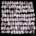 3500 Ct/103 Pcs Natural Untreated White Buffalo Turquoise Mix Cab Wholesale Gems