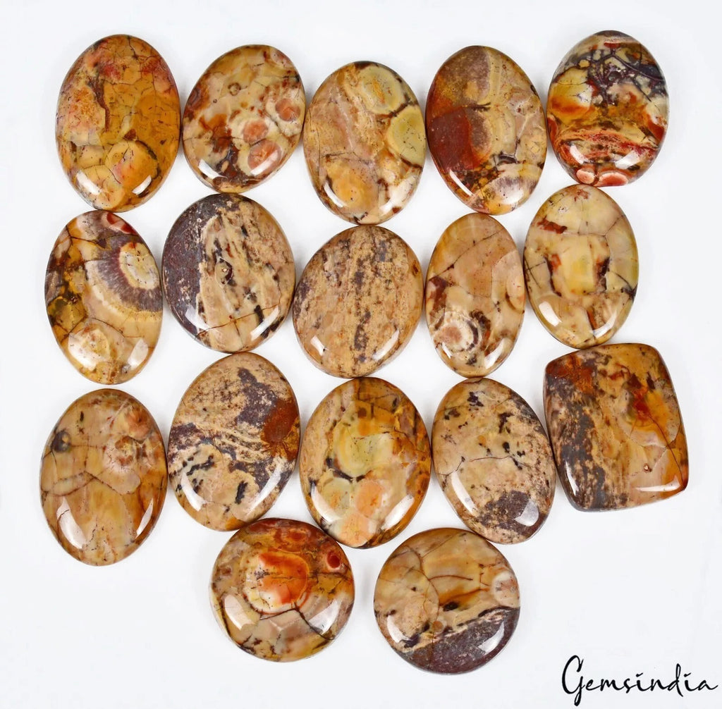 Jasper Lot, Cabochon, Untreated — 17 Pieces, 24mm to 33mm, 500 Ct
