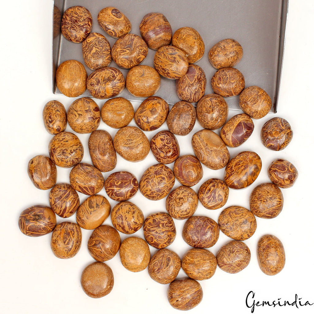 500 Ct/53 Pcs Natural Untreated Marium Jasper Oval Cab Loose Gems for Jewelry
