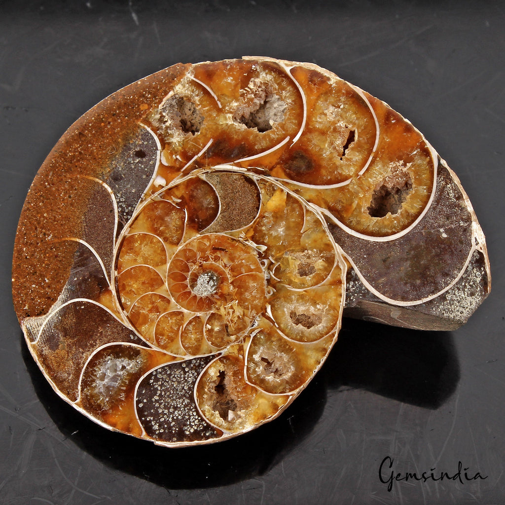 134 Cts Natural Untreated Brown Ammonite Fossil Cab Loose Rare Gem For Pendant