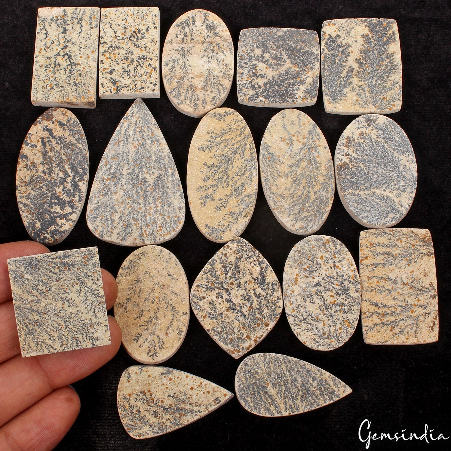 630Ct Natural Untreated Psilomelane Dendrite Tree Agate Rough Mix Cab Gems~17 Pc