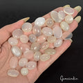 Moonstone Lot, Cabochon, Untreated, White — 33 Pieces, 11mm to 20mm, 270.00 Ct