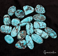 600 Ct/19 Pcs Natural Blue Arizona Spider Web Turquoise Mix Cab Loose Gems Lot