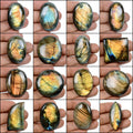 1420 Ct Natural Labradorite Golden Shine Mix Cabochon Loose Gemstones Lot~16 Pcs