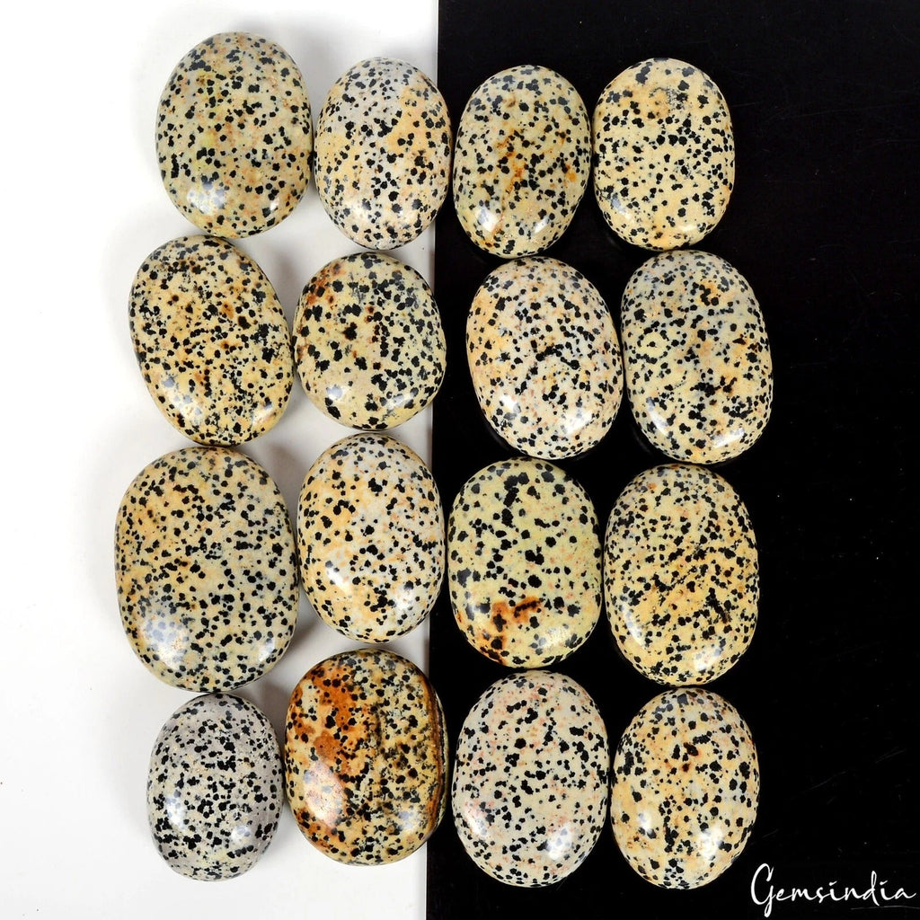 1 Kg Dalmation Jasper Crystal Palm Sones Polished Natural Gemstones Healing 16Pc