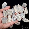 715 Ct/21 Pcs Natural Psilomelane Dendrite Fossil Tree Agate Mix Cut Loose Gems