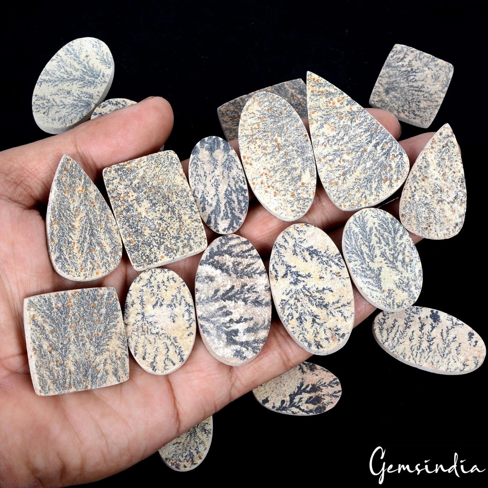 715 Ct/21 Pcs Natural Psilomelane Dendrite Fossil Tree Agate Mix Cut Loose Gems