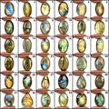 1770 Cts/36 Pcs Natural Untreated Multi Shine Labradorite Mix Cab Wholesale Gems