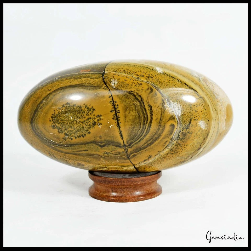 2380 Cts Natural Picture Jasper Huge Gem Oval Egg Shape Healing Crystal Minerals