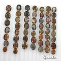 53 Pc Natural Brown Sapphire Untreated 9-14mm Oval Faceted Loose Gemstones 310Ct