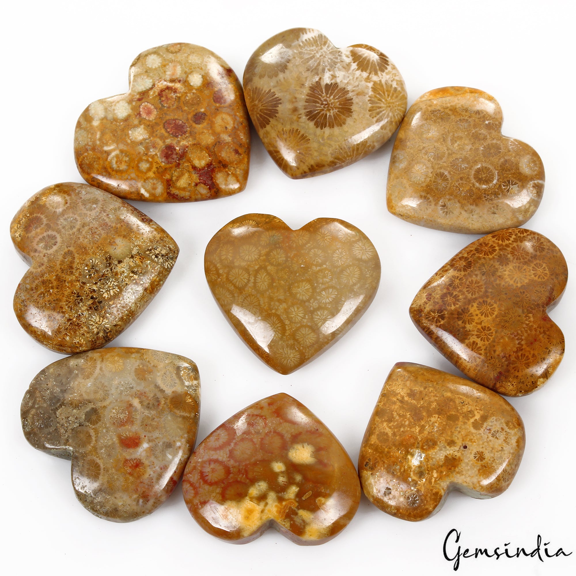 Coral Lot, Cabochon, Untreated — 9 Pieces, 30mm to 37mm, 730 Ct