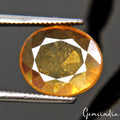 2.80 Cts Natural Ceylon Sapphire Yellow Oval Cut Untreated Certified Gemstone