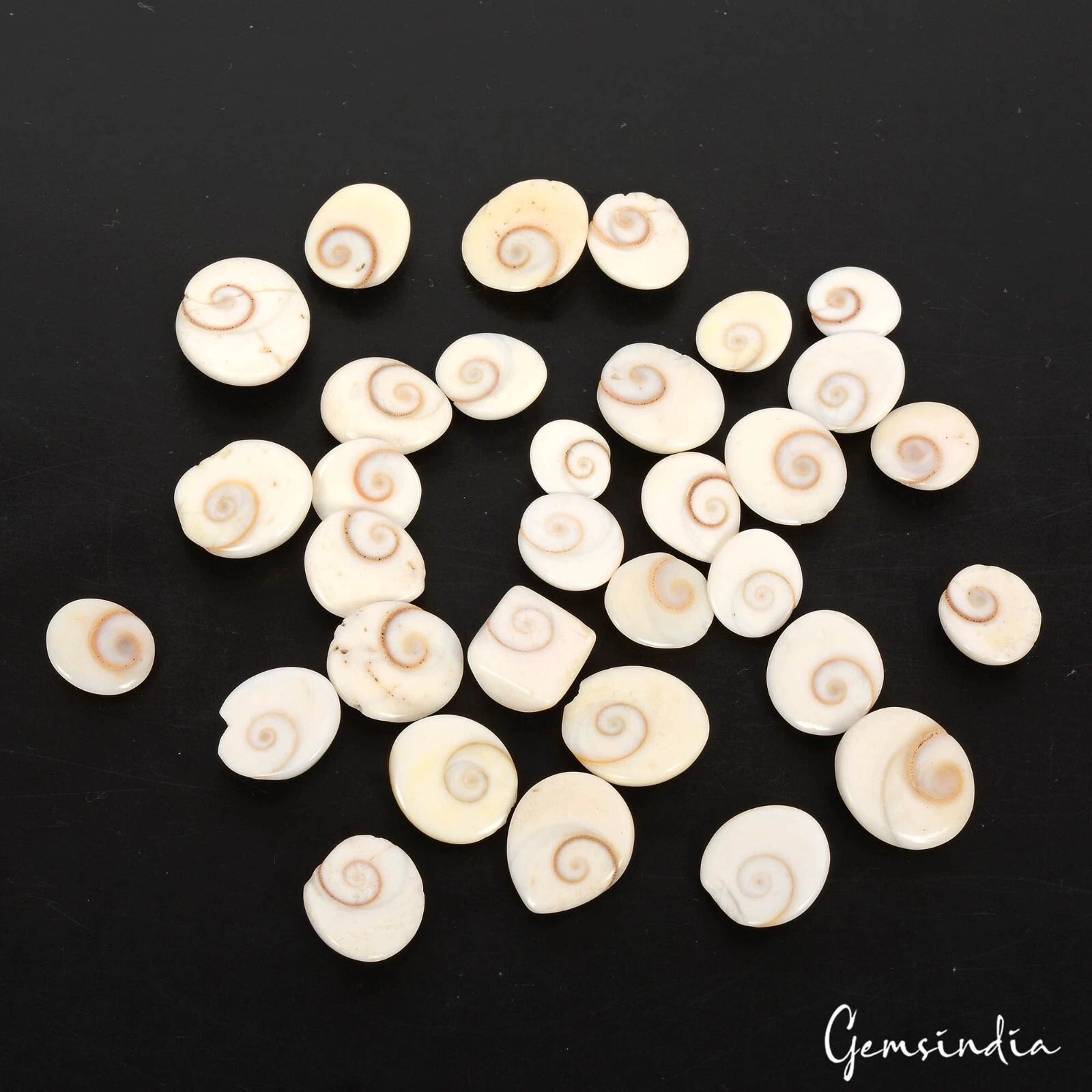Gomti Chakra Lot, Loose Gemstone, White — 32 Pieces, 9mm to 16mm, 150.00 Ct