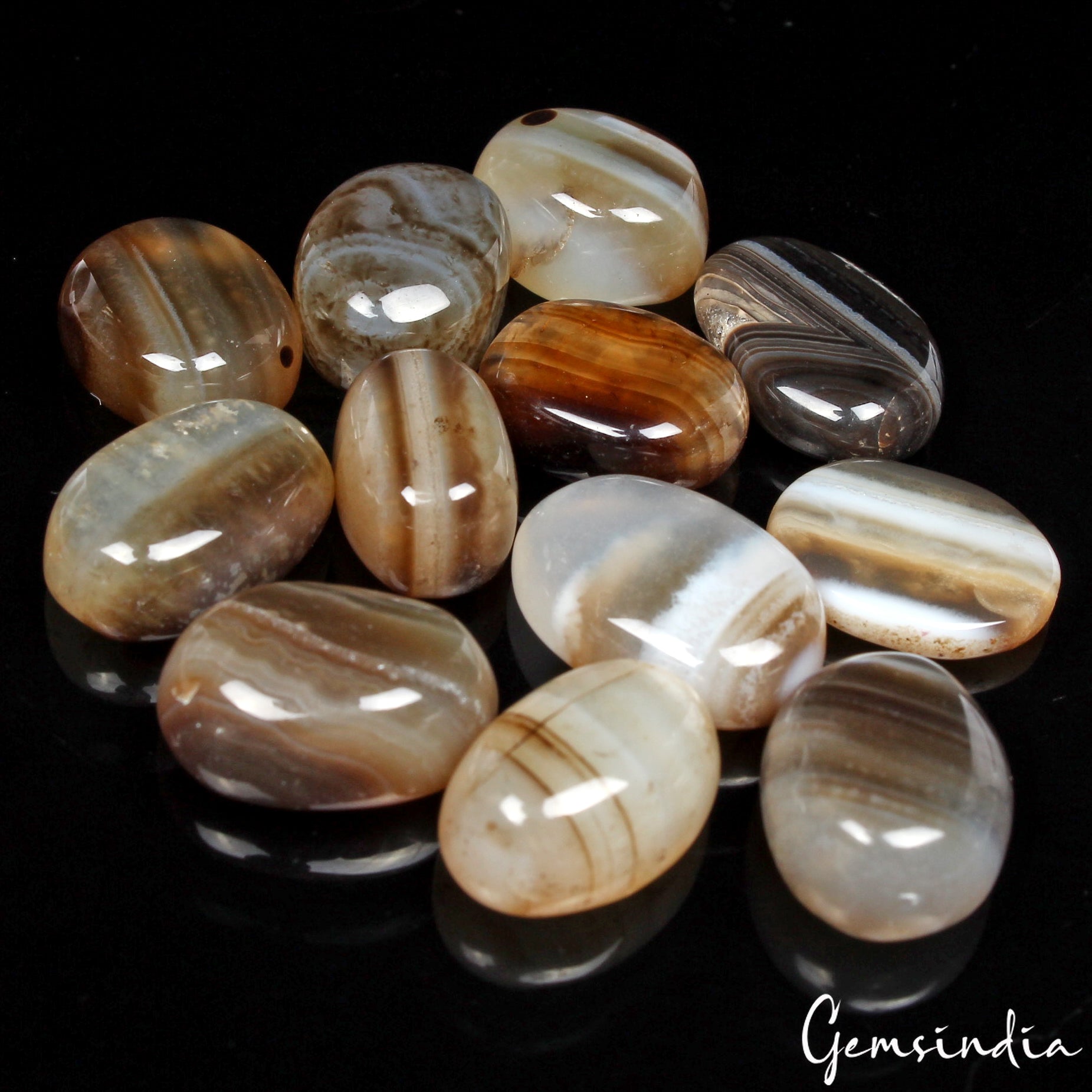 100.20 Cts/12 Pcs Natural Untreated Bi Color Onyx Banded Agate Gems For Jewelry