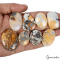 440 Cts Natural Maligano Jasper 8 Pcs Lot Mix Loose Cabochon Gemstones 29-45mm