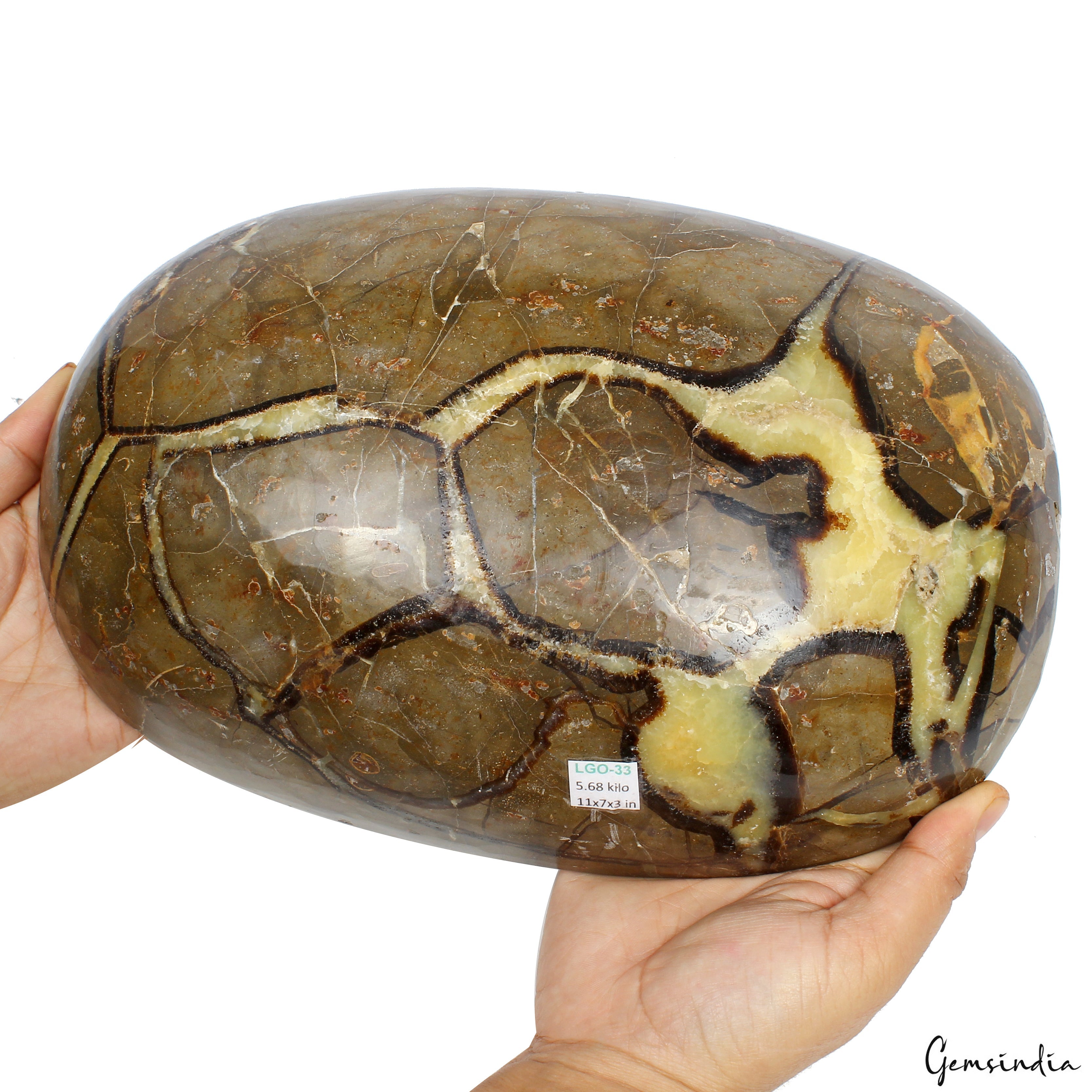 5.6 Kilo Huge Rare Natural Septarian Nodule Tri Color Dragon Oval Cab Gemstone