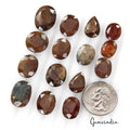 200.00 Ct Natural Untreated Brown Sapphire Mix Faceted Ring Size Loose Gems Lot