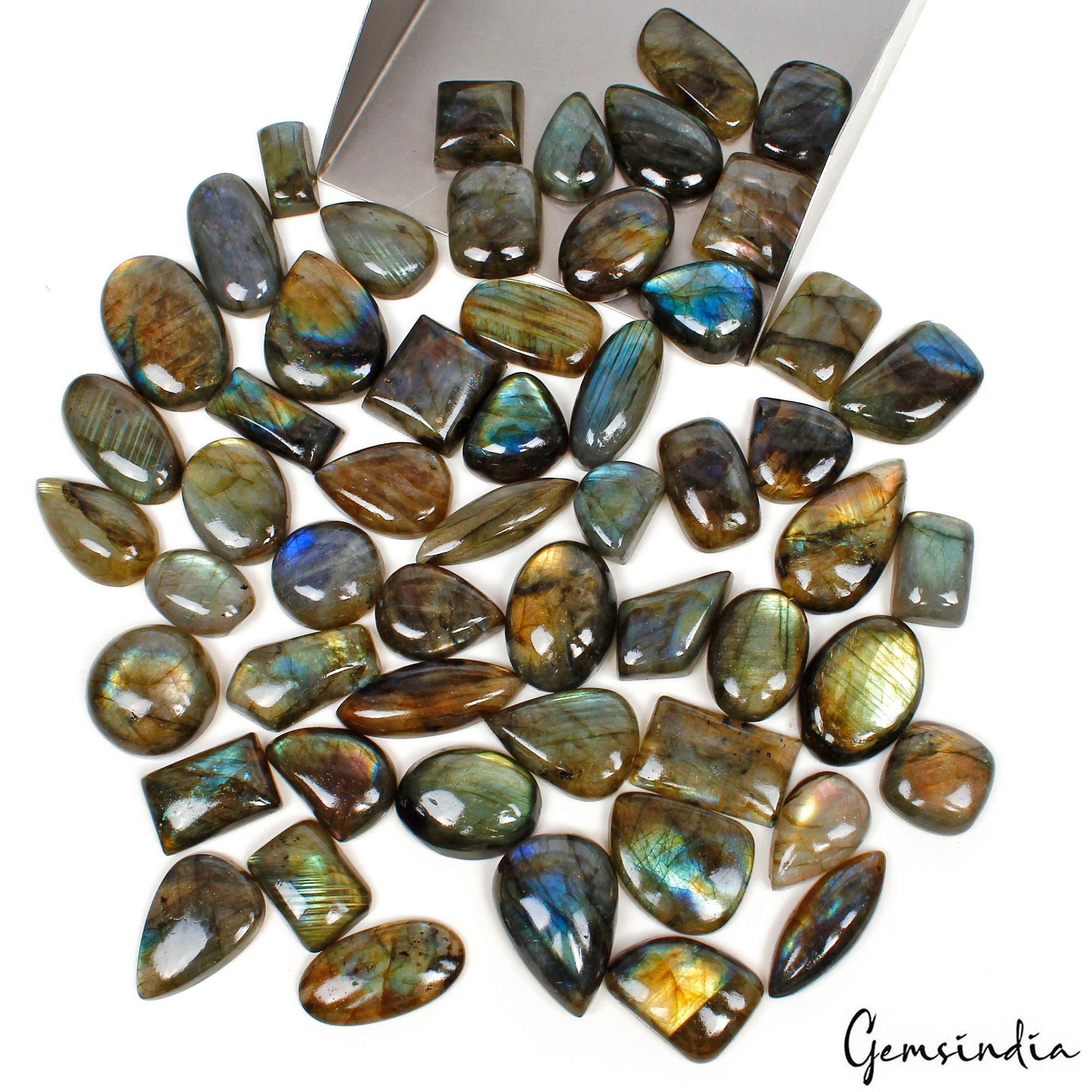 1300 Cts/55 Pcs Natural Multi Shine Spectrolite Labradorite Mixed Cab Loose Gems