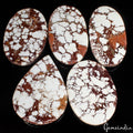 750 Ct Natural Untreated Nevada White Buffalo Turquoise Loose Pendant Size Gems