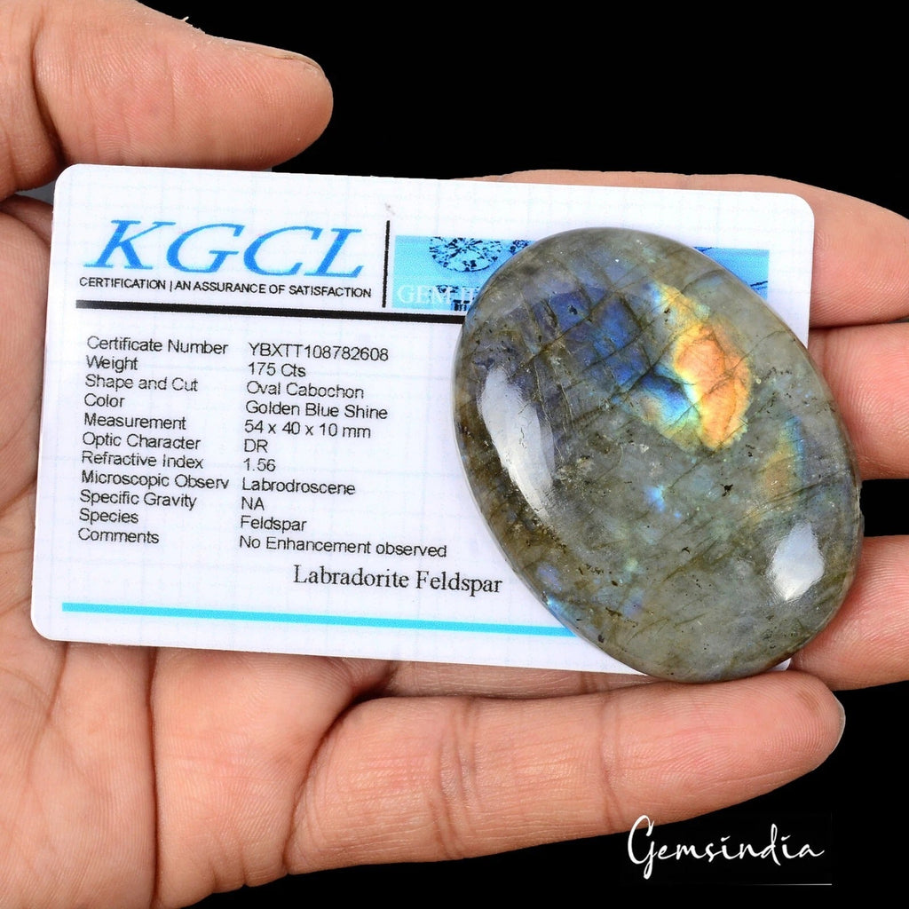 Natural Untreated Labradorite Blue Yellow Shine Oval Cab Certified 175.00 Ct Gem