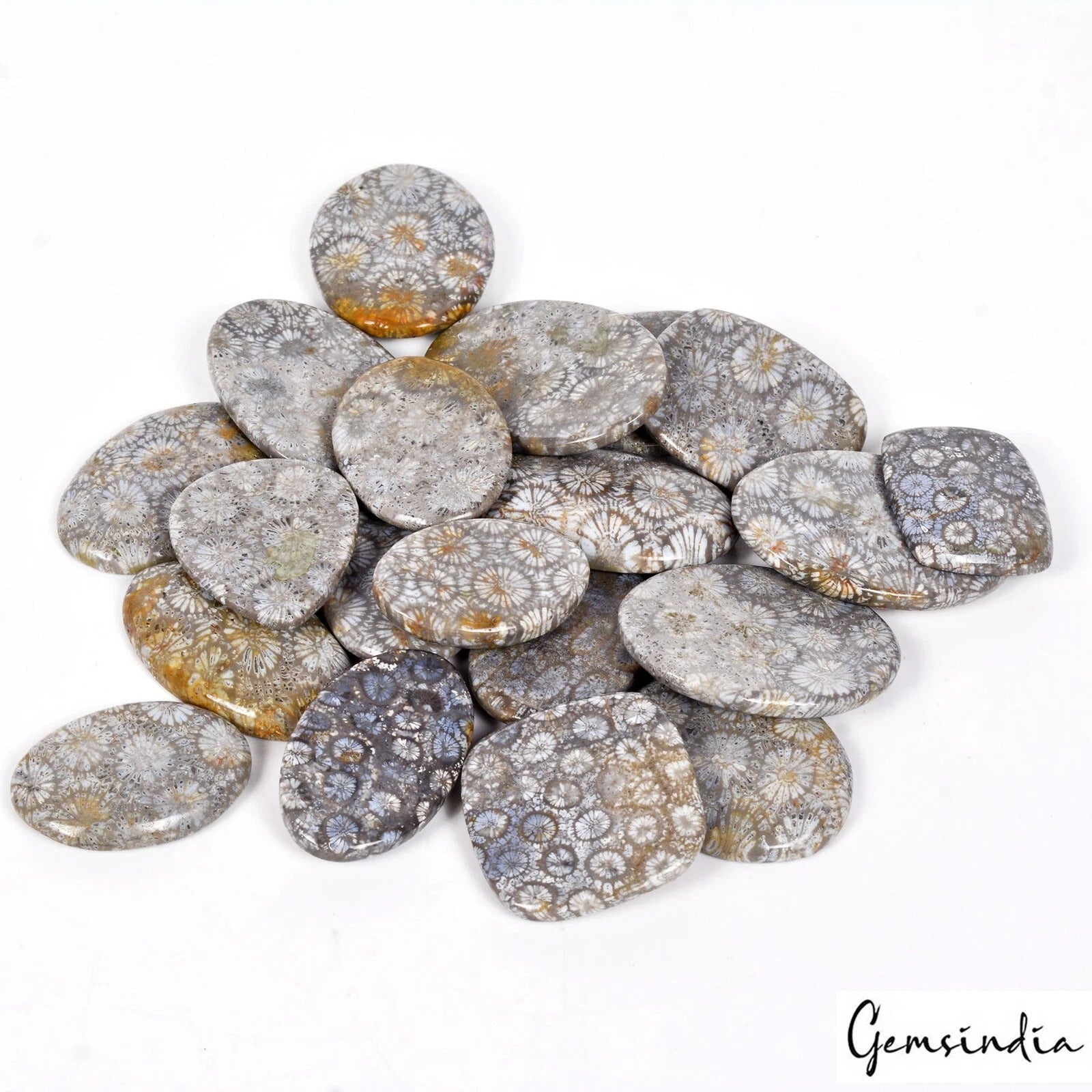 Coral Lot, Cabochon, Untreated — 20 Pieces, 29mm to 19mm, 1100 Ct