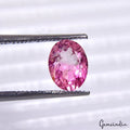 Certified 1.00 Cts Natural Untreated Pink Rubellite Tourmaline Oval Cut Rare Gem