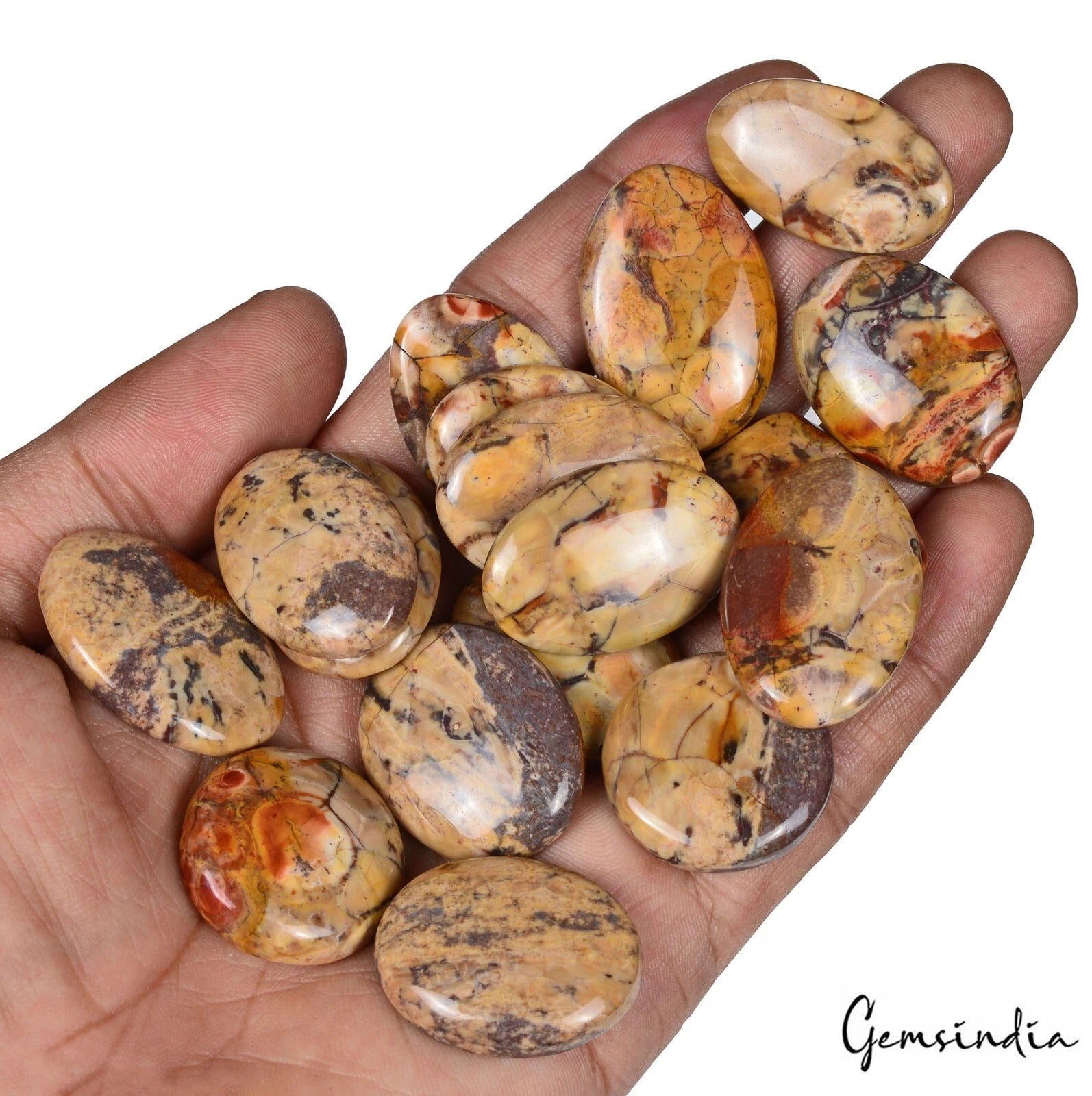 Jasper Lot, Cabochon, Untreated — 17 Pieces, 24mm to 33mm, 500 Ct