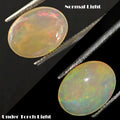 Opal Loose Gemstone, Oval Cabochon, Untreated — 11x8x4mm, 1.70 Ct, Ethiopia