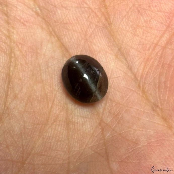 Certified Natural Untreated Spectrolite Cats Eye Mix Cab Loose Gemstones 4.30 Ct