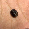Certified Natural Untreated Spectrolite Cats Eye Mix Cab Loose Gemstones 4.30 Ct