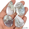 231.20 Ct Natural Untreated Multicolor Moss Agate Mix Cabochon Loose Gemstone