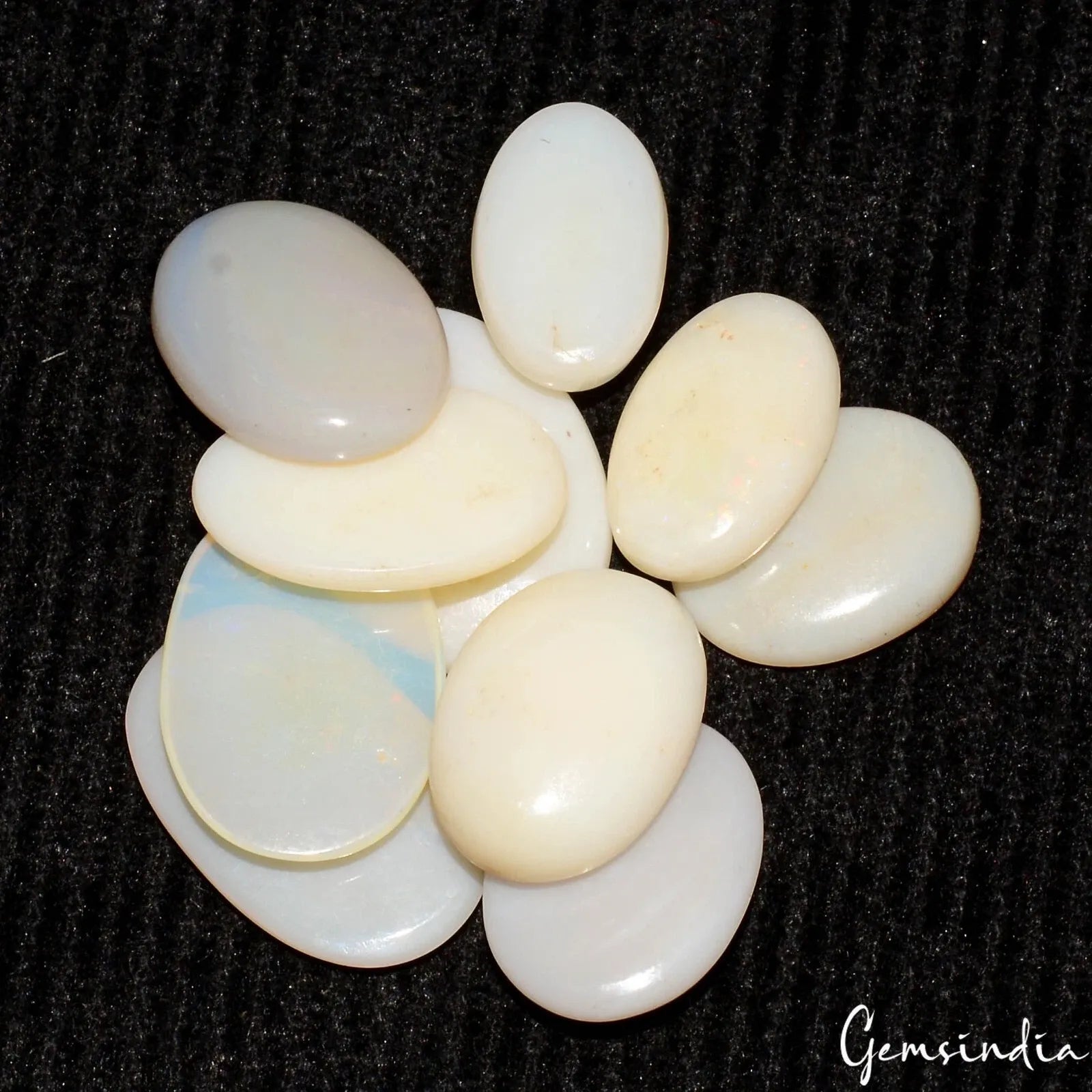 Opal Lot, Loose Gemstone, Untreated, White — 10 Pieces, 13mm to 18mm, 46.30 Ct, Australia
