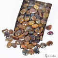 1000 Ct Natural Untreated Multi Color Sapphire Mix Cut Loose Gemstones Lot~ 79Pc