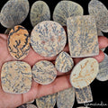 1520 Cts/30 Pcs Natural Untreated Psilomelane Dendrite Tree Agate Loose Gems Lot