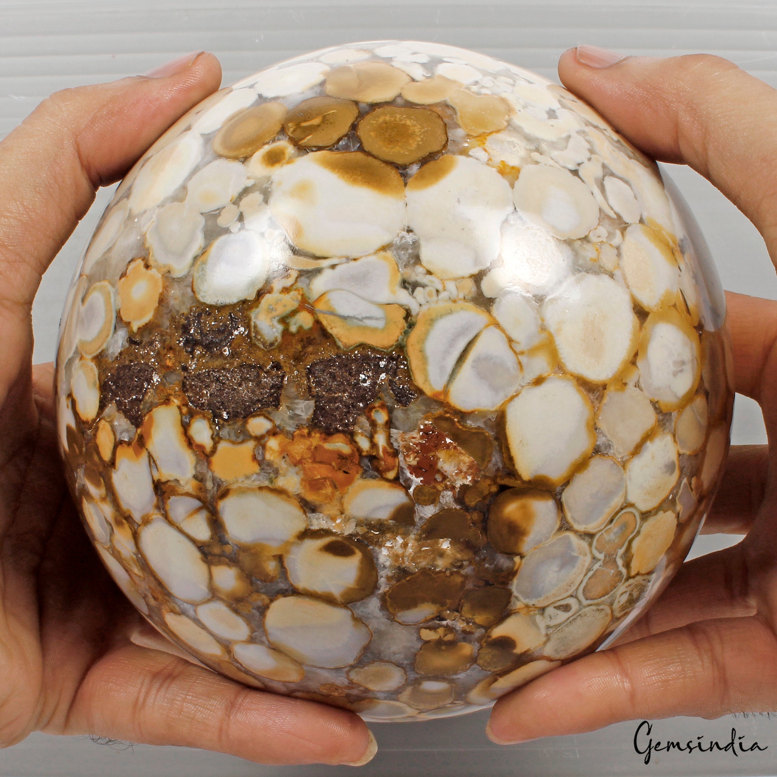 3.9 Kilo Natural Polished Bi-color Orbicular Ocean Jasper Sphere Healing Reiki